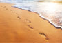 Purposeful Footprints In The Sand